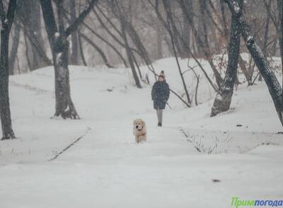 И снова небольшой снег в Приморье: всё о погоде на выходных на Примпогоде