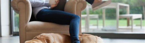 Названы самые безопасные страны мира