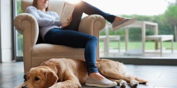 Названы самые безопасные страны мира