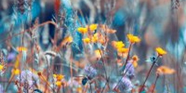 Примпогода.ру: Поздравляем Бориса Кубая с днем рождения!