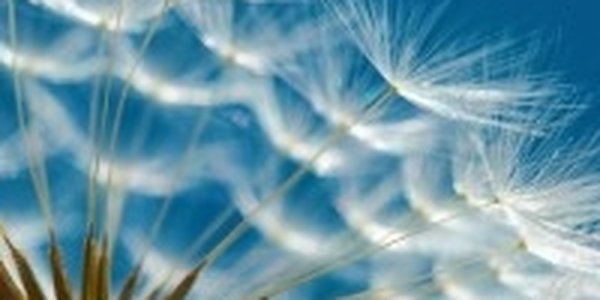 Весна — время радоваться, а не паниковать