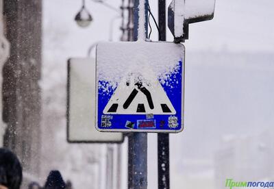 Дождь со снегом, снег и гололедные явления: в Приморье пришла непогода