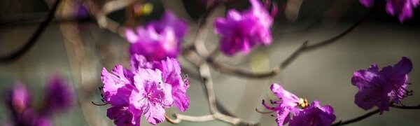 На выходных воздух в Приморье прогрелся выше +20 °С