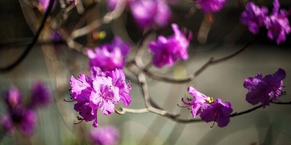 На выходных воздух в Приморье прогрелся выше +20 °С