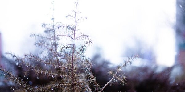 Резкое ухудшение погоды в Приморье начнется в понедельник