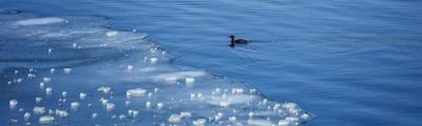 Последние выходные зимы: всё о сюрпризах погоды в Приморье