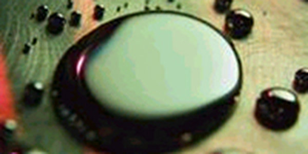 Два ящика ртути обнаружили специалисты в лесном массиве Владивостока