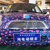 Китайские электромобили: заряжаются от розетки и не вредят экологии (ФОТО)