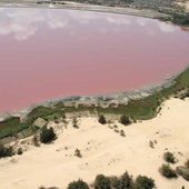 Розовое озеро в Сенегале