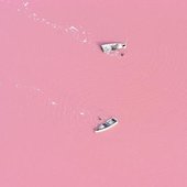 Розовое озеро в Сенегале