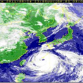 В Тихом океане активизировались тайфуны