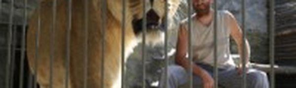 Украинец проведет 35 суток со львицей, чтобы открыть зоопарк