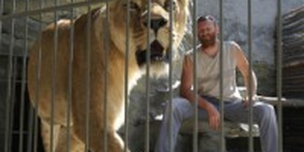 Украинец проведет 35 суток со львицей, чтобы открыть зоопарк