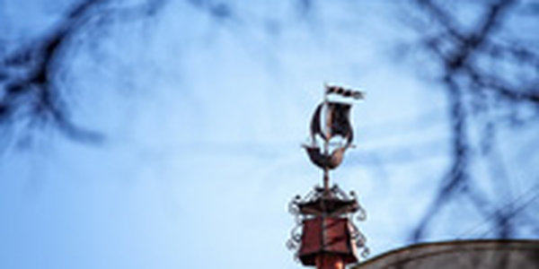 Вторая декада февраля была близка к климатической норме