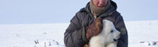 Якутский зоопарк покажет посетителям пару белых медведей