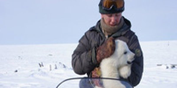 Якутский зоопарк покажет посетителям пару белых медведей