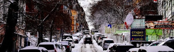 Из-за непогоды руководителям предприятий Владивостока рекомендовано сократить рабочий день