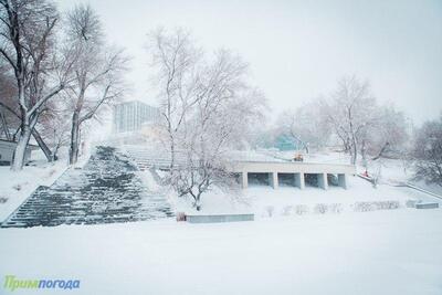 Когда снежный циклон покинет Приморье