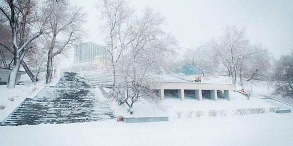 Когда снежный циклон покинет Приморье