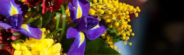 Опубликован прогноз погоды на праздничные выходные в Приморье