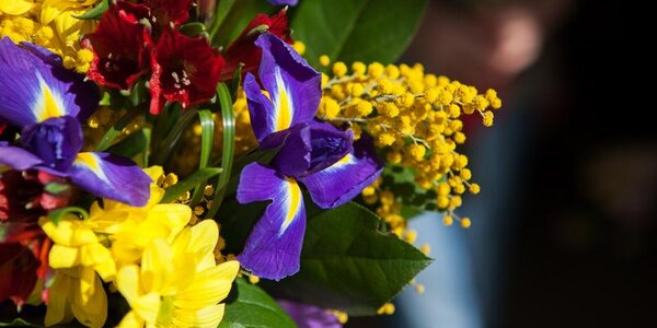 Опубликован прогноз погоды на праздничные выходные в Приморье