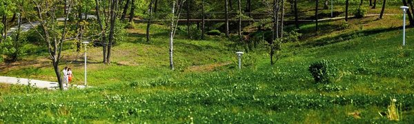 Во Владивостоке на неделю закроют кладбища и парковую зону ДВФУ