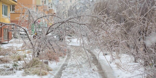 Синоптики озвучили прогноз погоды на последнюю неделю ноября в Приморье