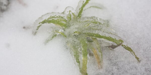 Синоптики подвели итоги непогоды в Приморье