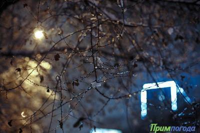 Прошедшая ночь стала самой холодной во Владивостоке и Приморье с начала осени