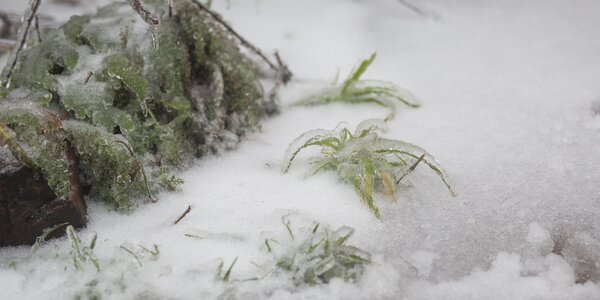 Экологи рассказали, в каких районах Владивостока воздух был загрязнен с 11 по 20 ноября 