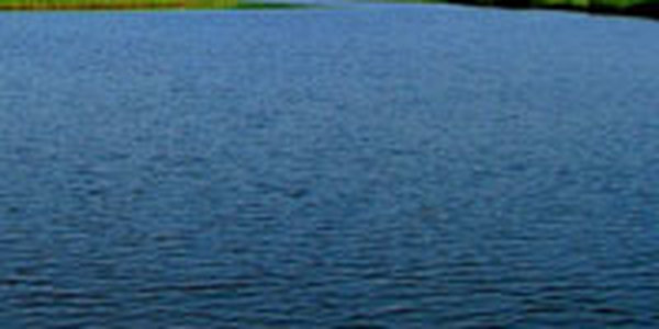 На реках Приморья наблюдается интенсивный спад уровня воды