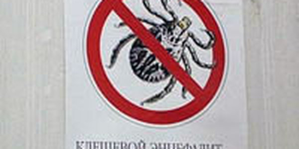 Жители Приморья продолжают страдать от клещей