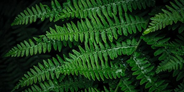 Дожди усложнят паводковую обстановку на реках западной половины Приморья