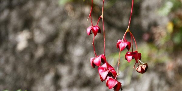 До +10°С будет во Владивостоке во вторник