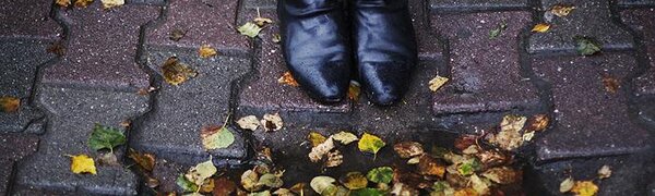 Небольшие и умеренные дожди пройдут в Приморье в середине следующей недели