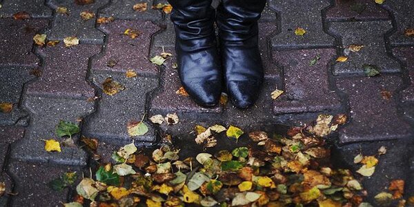 Небольшие и умеренные дожди пройдут в Приморье в середине следующей недели