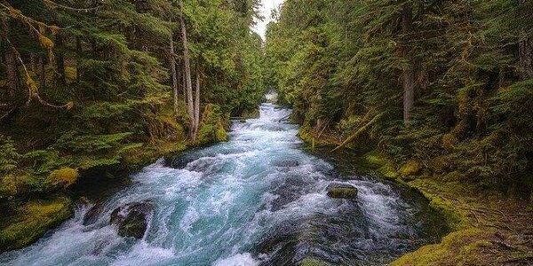 Ситуация на реках Приморья 17 сентября