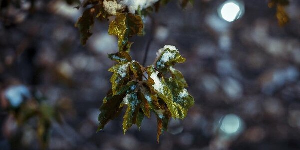 Резкое похолодание и снег: всё о погоде в Приморье на следующей неделе