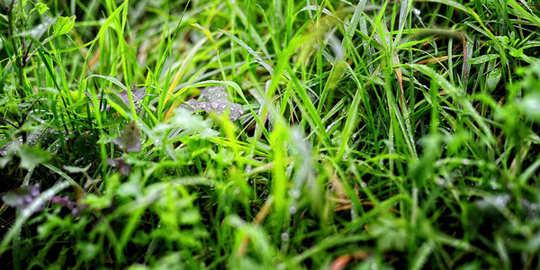 В воскресенье в Приморье начнутся дожди