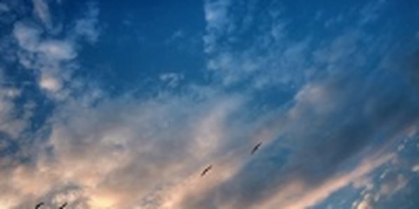 После потепления в Приморье вновь станет прохладно