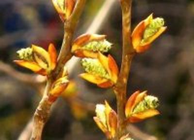 Какой будет погода на выходных в Приморье?