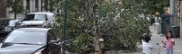 Число жертв урагана в США растет