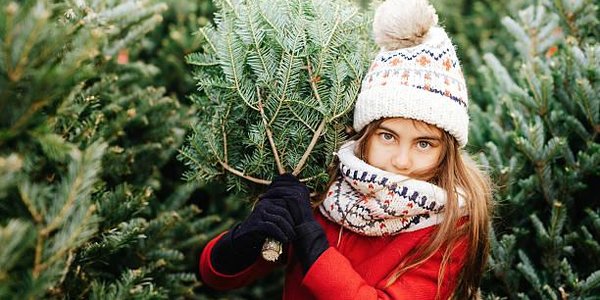 Во Владивостоке начинают свою работу ёлочные базары (АДРЕСА)