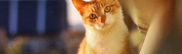 Погода на выходные: оттепель придёт в Приморье