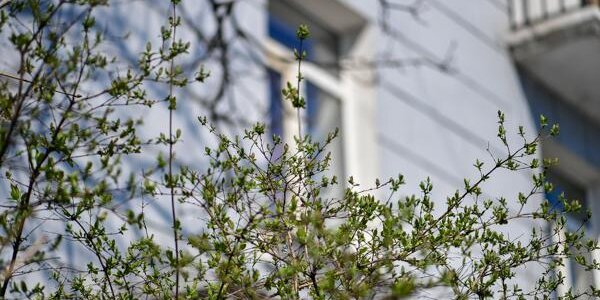 Дождливую субботу сменит теплое воскресенье: вcё о погоде в Приморье на выходных