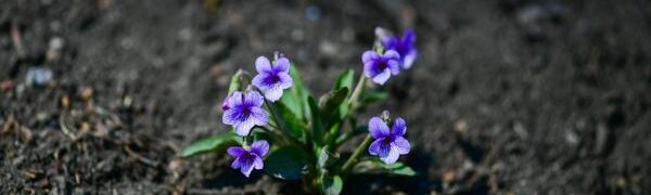 Нестабильная погода в Приморье ожидается в начале следующей недели