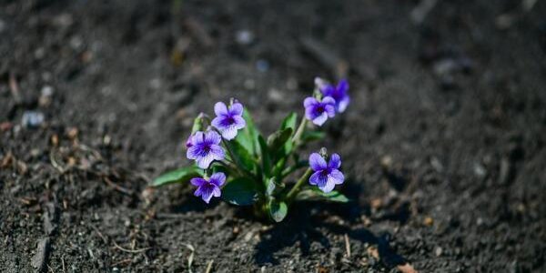 Нестабильная погода в Приморье ожидается в начале следующей недели