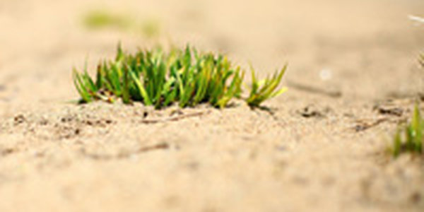 В субботу в Приморье будет тепло