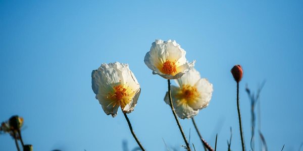 Солнечно и тепло будет в Приморье в пятницу