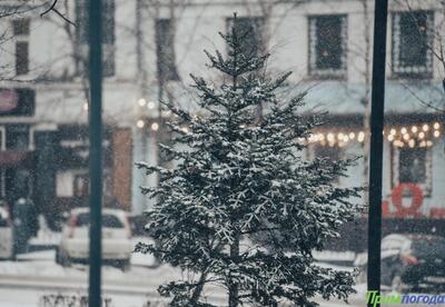 Небольшой снег пройдет в разных районах Приморья на выходных